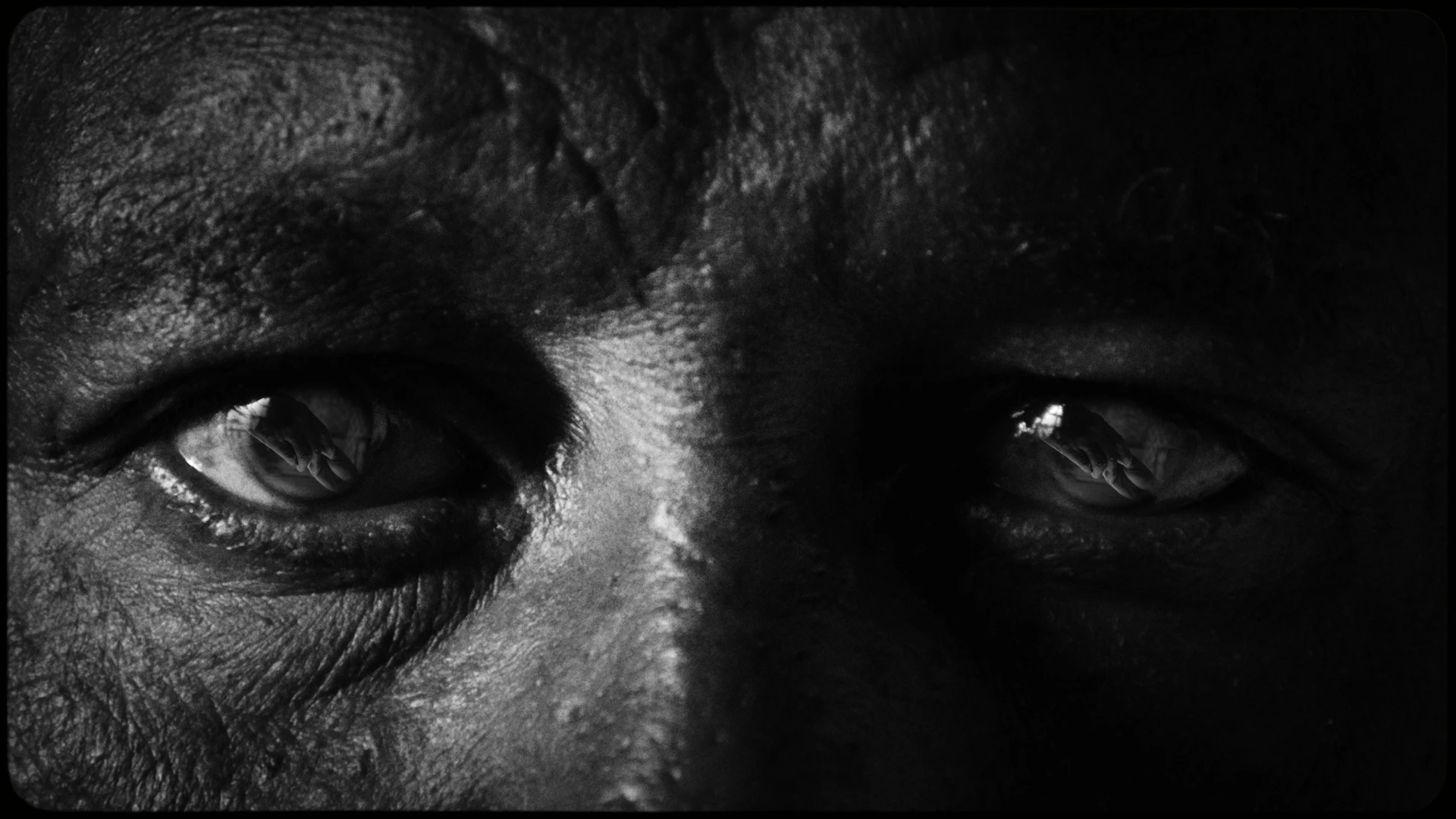 Rami Kallas — Black still